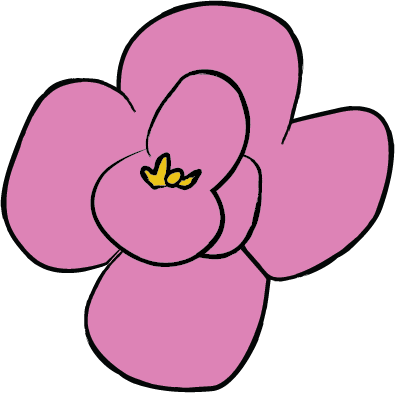 Pink rock rose graphic