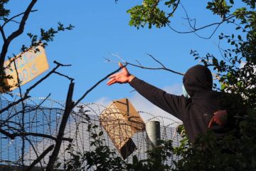 Protester in a tree outside Brook House detention centre throwing a placard over the fence